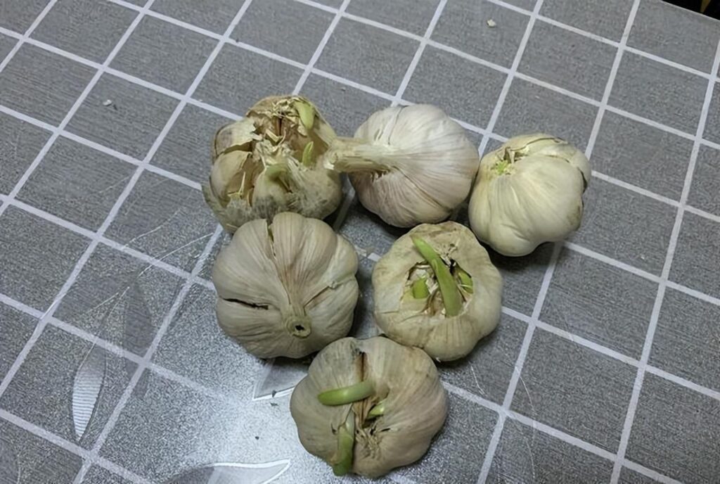 怎样保存大蒜长久不坏，保存大蒜的最佳方法