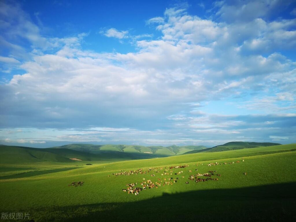 内蒙古哪里的草原最美，内蒙古7大草原排名