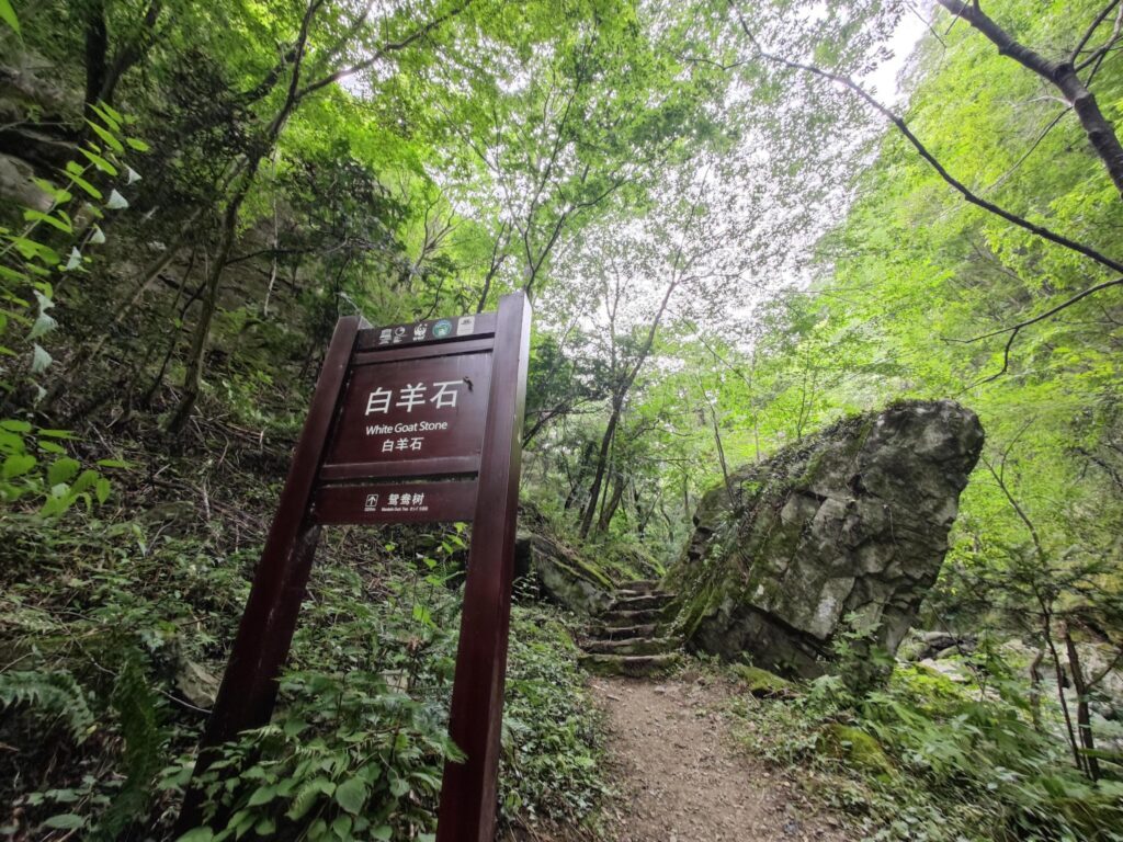 狐狸山在什么地方，周至狐狸沟要门票吗