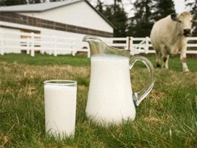 全脂牛奶和脱脂牛奶哪个好，全脂牛奶和脱脂牛奶有啥区别