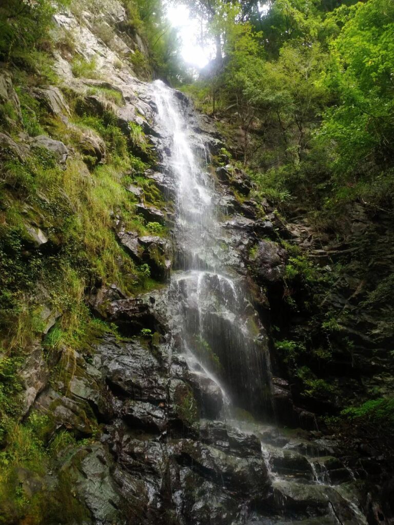 狐狸山在什么地方，周至狐狸沟要门票吗