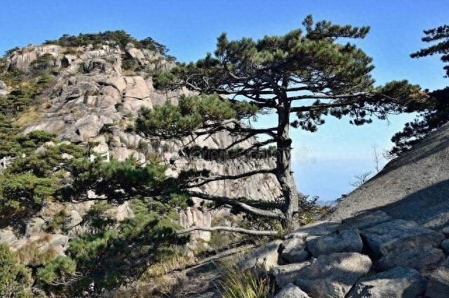 泰山在哪个省，泰山和黄山哪个值得去