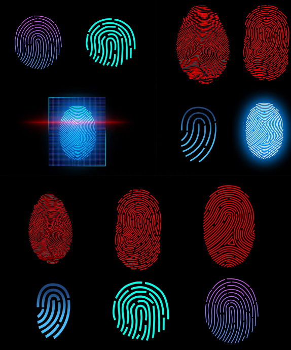 指纹密码怎么来的，手机指纹是怎么识别的