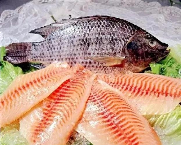 罗非鱼有营养价值吗，罗非鱼营养功效与作用