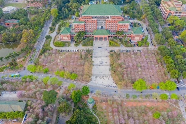 广东省有哪些大学，广东省最出名十大大学