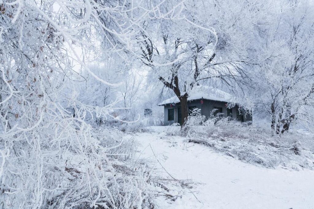 吉林最值得去的地方是哪里，吉林省旅游必去的地方