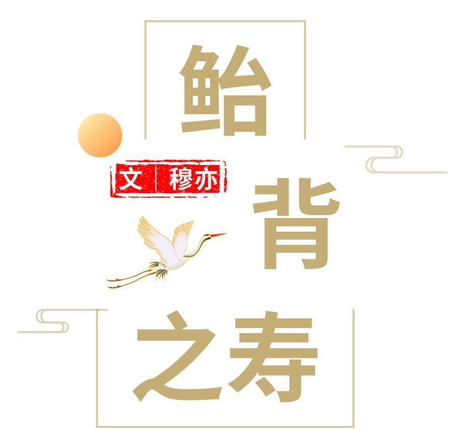 90岁叫什么之年，90岁大寿的雅称