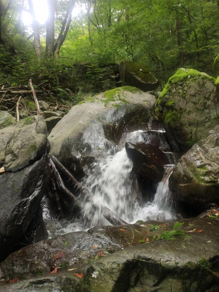 狐狸山在什么地方，周至狐狸沟要门票吗