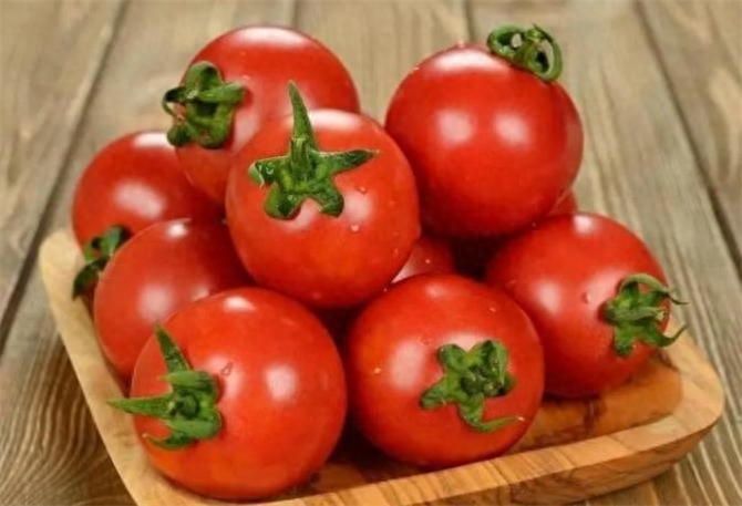 番茄和西红柿有区别吗，番茄是不是西红柿