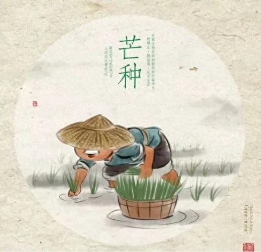 芒种是什么意思，芒种的寓意和象征