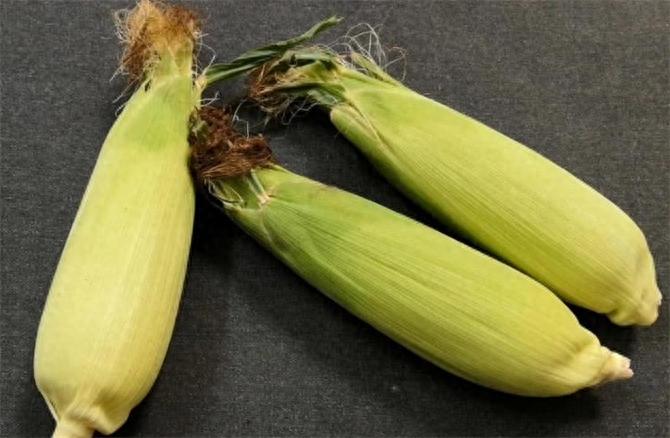 新鲜玉米该如何储存，新鲜玉米的储藏方法