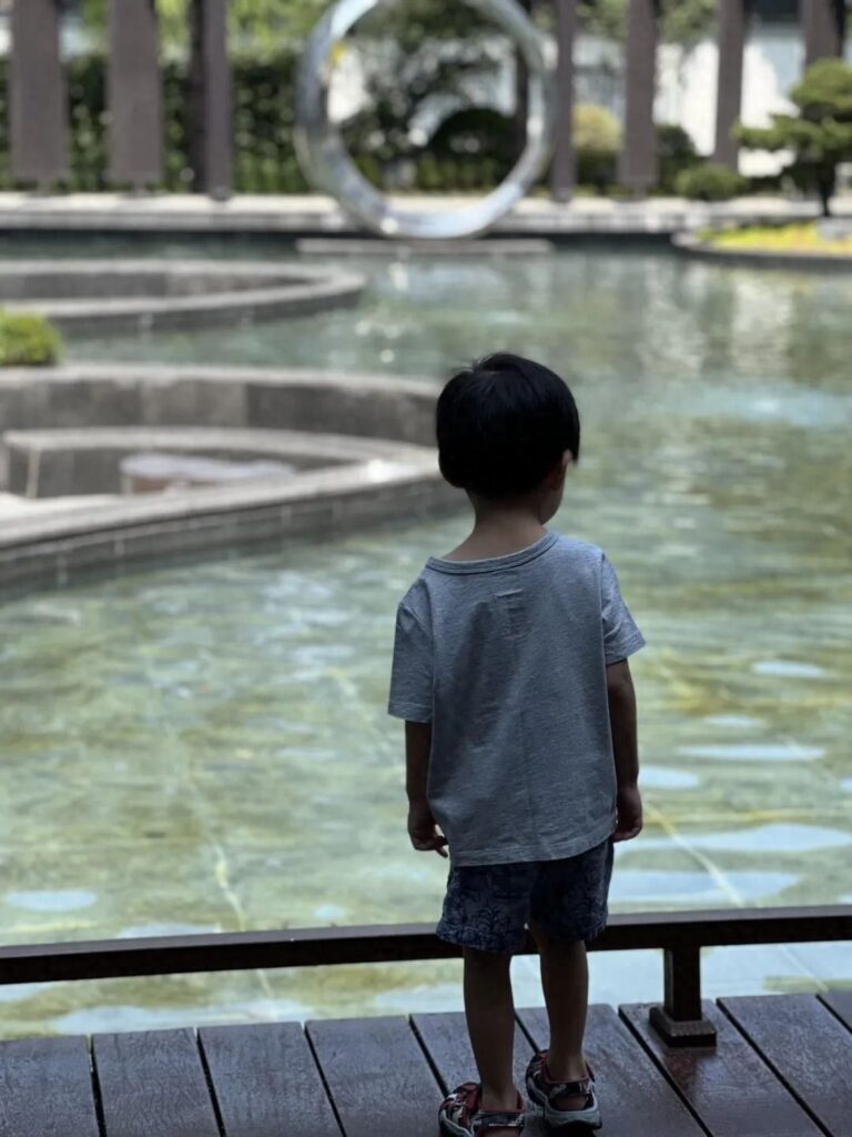 乌镇住宿多少一晚，乌镇景区内民宿价格