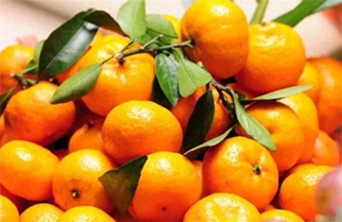 桔和橘有什么区别，桔可以代替橘吗