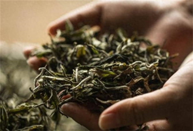 茶叶冷冻还是冷藏好，绿茶的最佳储存方法