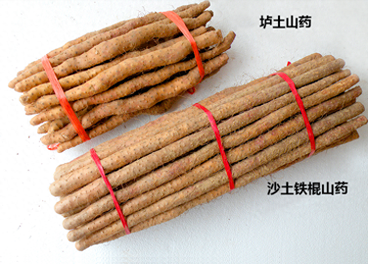 铁棍山药比普通山药更营养吗，铁棍山药和普通山药有什么区别