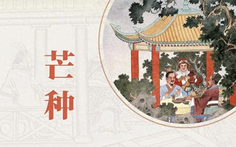 芒种是什么意思，芒种的寓意和象征