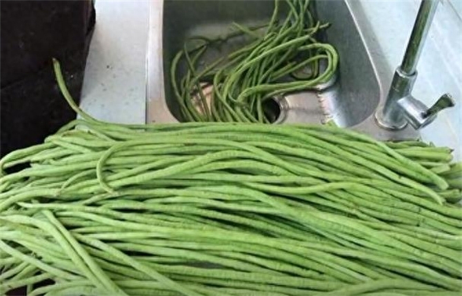 怎样储存豆角最新鲜，豆角放冰箱的正确方法