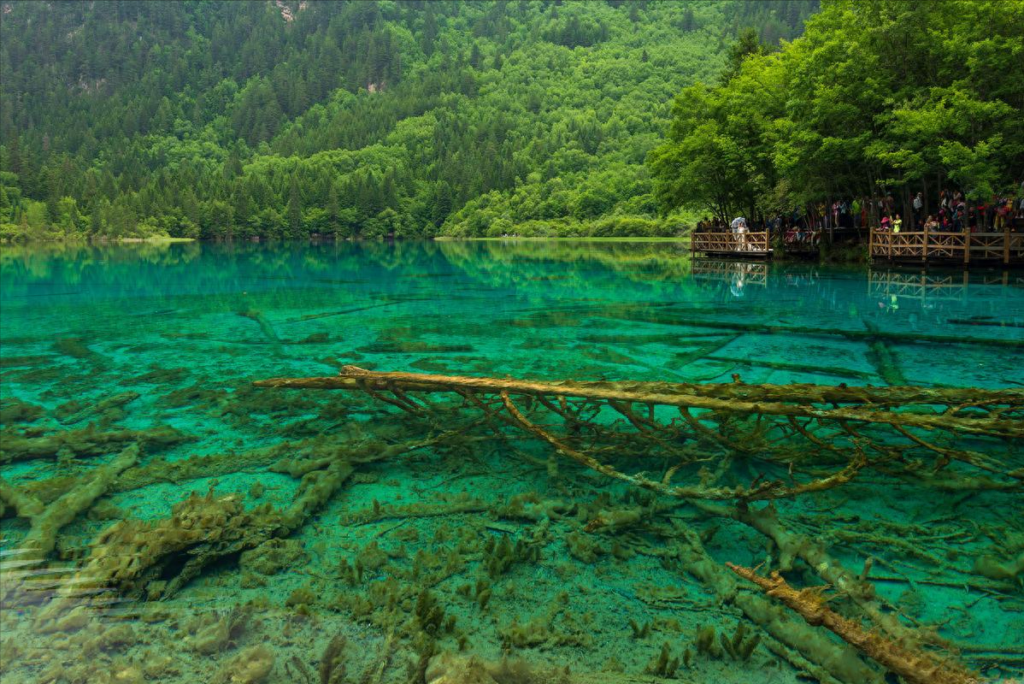 九寨沟旅游一般要多少钱，九寨沟旅游适合几月份去