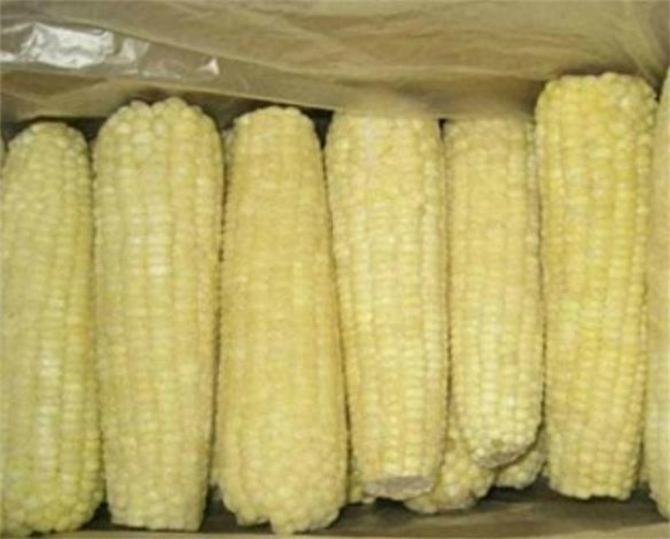 新鲜玉米该如何储存，新鲜玉米的储藏方法