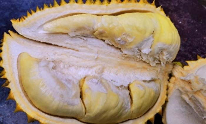 榴莲怎么选才是最好的，榴莲怎么选择果肉饱满的