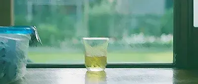 培养学生的责任感，浅谈培养学生的责任感