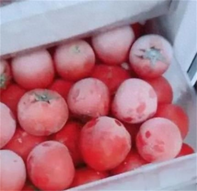 西红柿到底能不能冷冻，如何正确冷冻西红柿