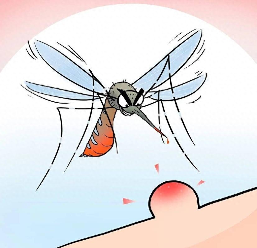 被蚊子叮了为什么会起包，被蚊子咬了起包的原理