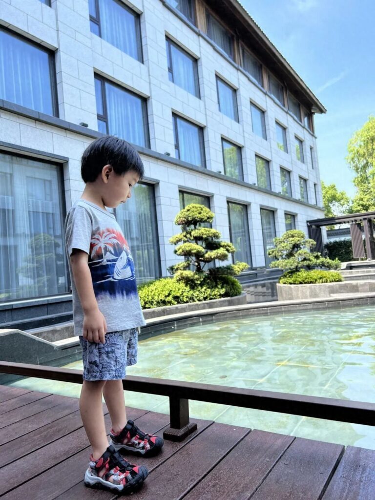 乌镇住宿多少一晚，乌镇景区内民宿价格