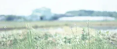 培养学生的责任感，浅谈培养学生的责任感