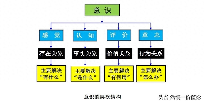 科学是什么，科学的简单定义