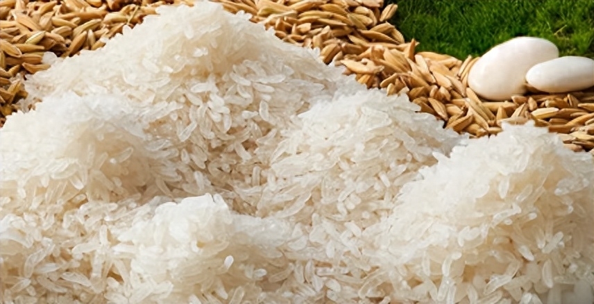 白芸豆米饭是不是智商税，白芸豆米饭的功效与作用