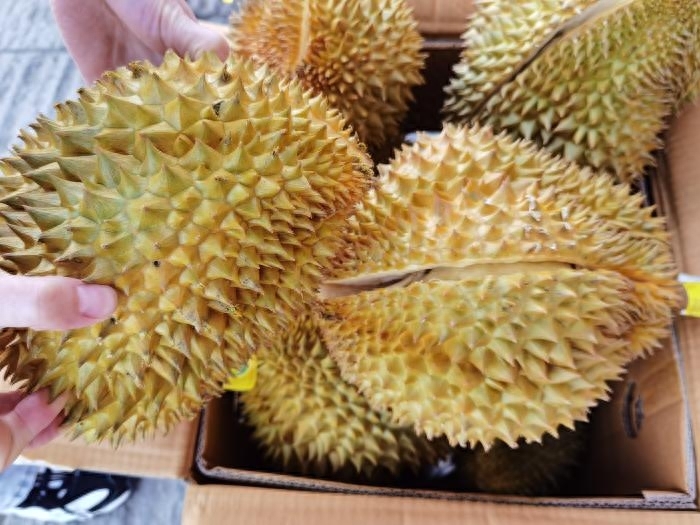 榴莲怎么选才是最好的，榴莲怎么选择果肉饱满的