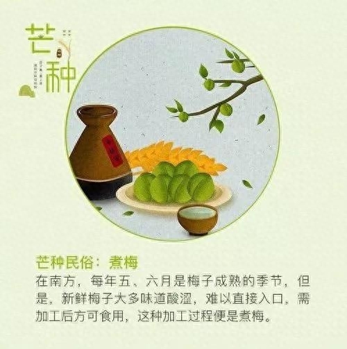 芒种是什么意思，芒种的寓意和象征