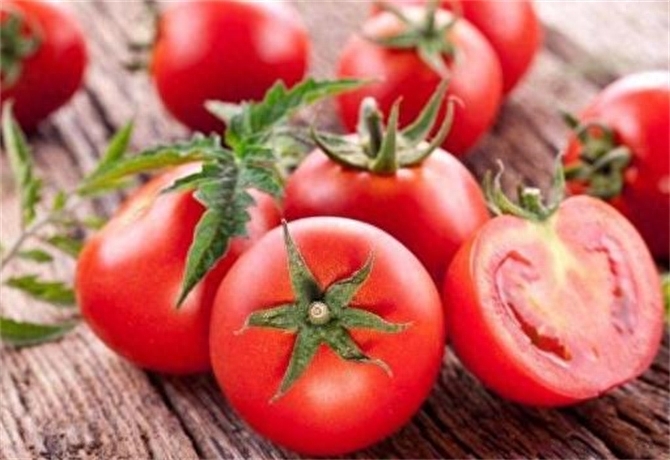 番茄和西红柿有区别吗，番茄是不是西红柿