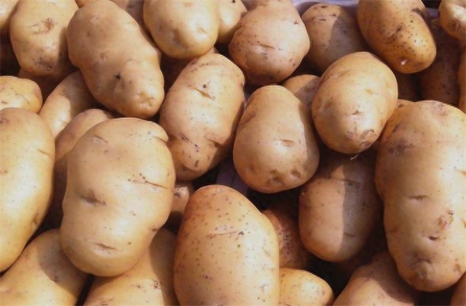 如何保存土豆不生芽，防止土豆发芽的小妙招