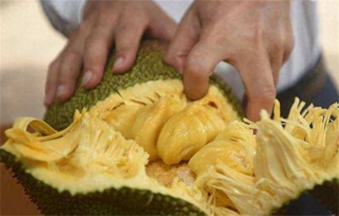 菠萝蜜怎么剥，菠萝蜜正确剥法