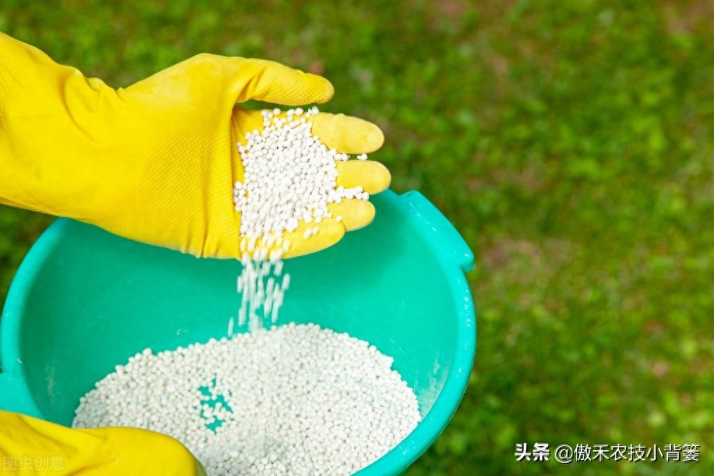 什么是氮肥，氮肥包括哪些肥料
