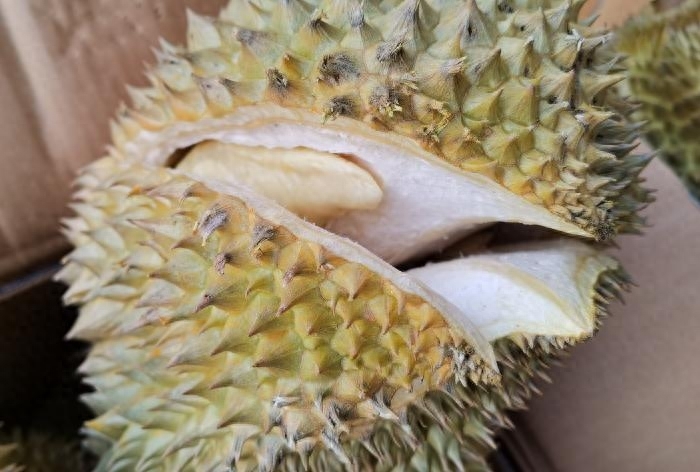 榴莲怎么选才是最好的，榴莲怎么选择果肉饱满的
