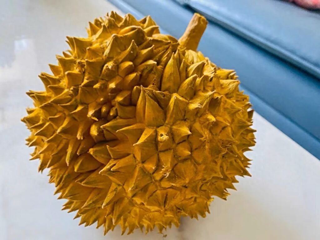 榴莲壳能做什么，榴莲壳的食用方法