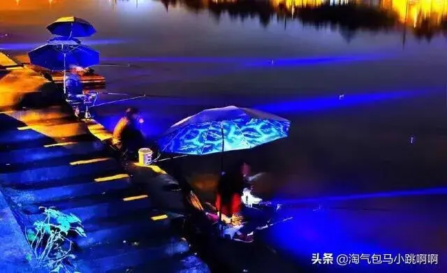 夜钓有什么乐趣，为什么男人喜欢夜钓