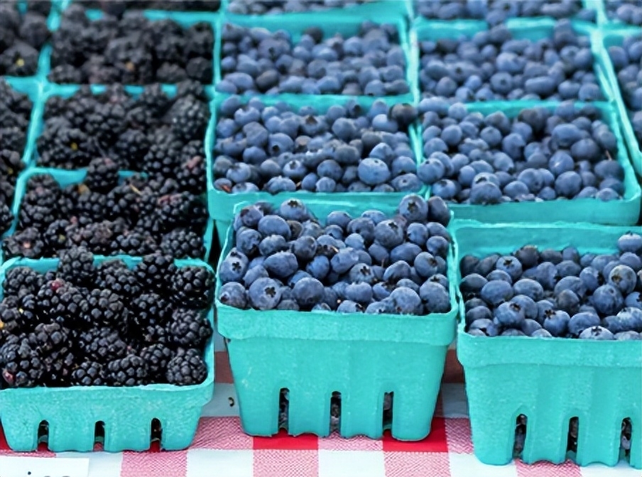 每天吃一盒蓝莓会发生什么，每天吃一盒蓝莓有什么好处