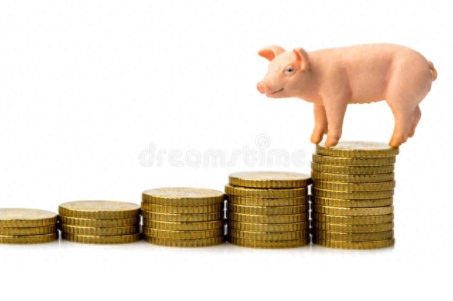 一头猪多少钱，一头猪的成本和利润