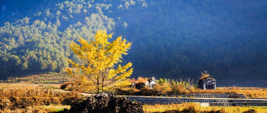 11月旅游去哪里好，11月适合旅游的地方