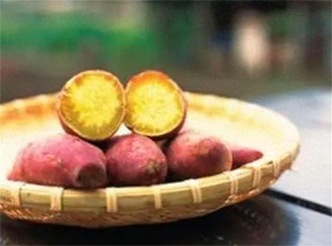 红薯长出芽还能吃吗，发芽红薯去掉芽能吃吗