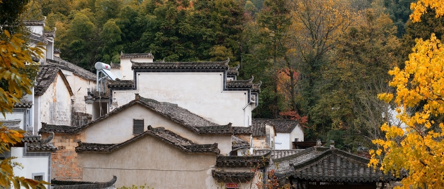 11月旅游去哪里好，11月适合旅游的地方