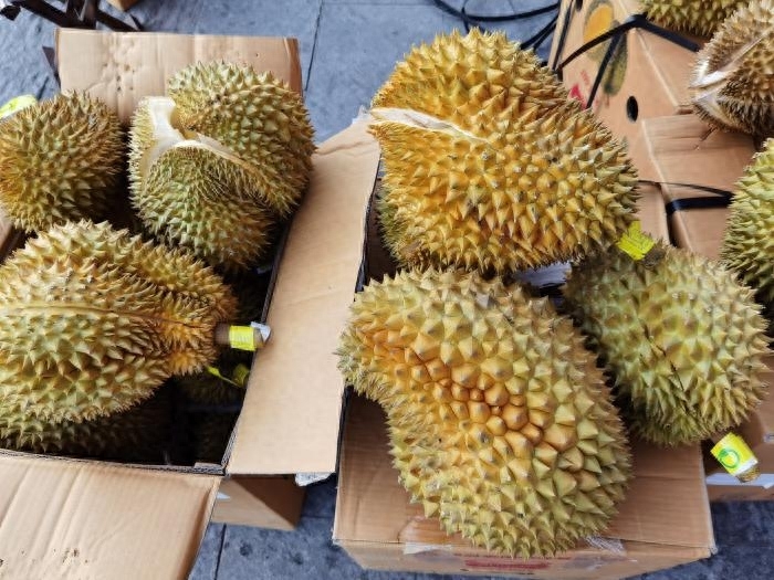 榴莲怎么选才是最好的，榴莲怎么选择果肉饱满的