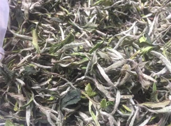怎么区分白毫银针和白牡丹，白牡丹与白毫银针的区别