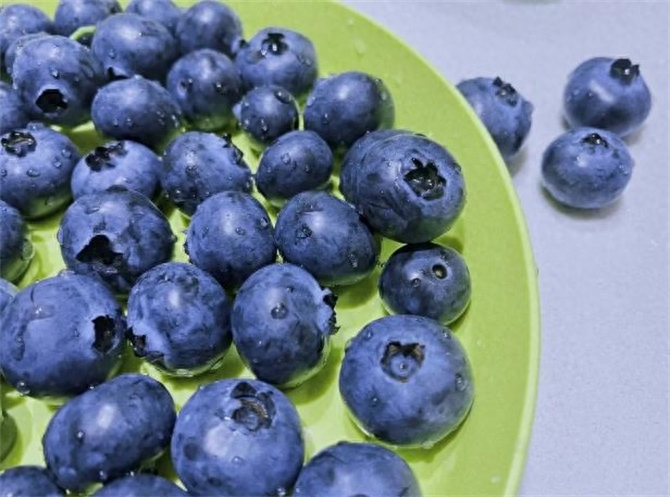 蓝莓是什么季节的水果，蓝莓好吃吗什么味道