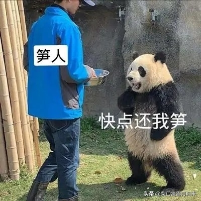 调侃是什么意思，调侃怎么理解