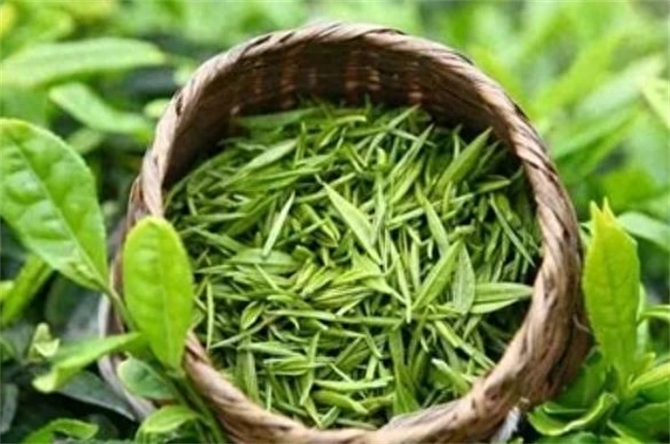 中国四大绿茶有哪些，中国绿茶四大名茶